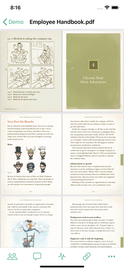 Onehub iOS file preview.
