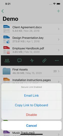 Onehub iOS secure link settings for a file.
