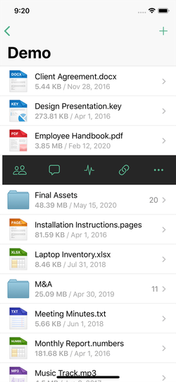 Onehub iOS files in list view.
