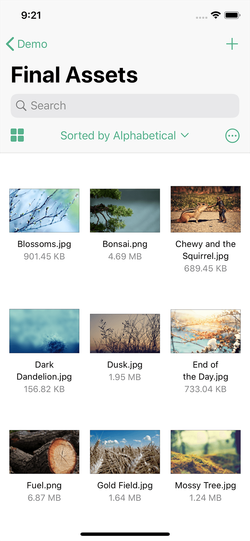 Onehub iOS files in thumbnail view.