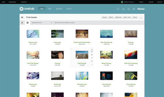 Onehub – files thumbnails screenshot