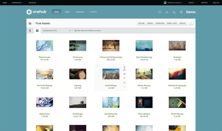 Onehub files in thumbnail view.