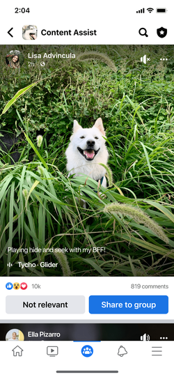 Content assist surfacing relevant Reels to group admins.