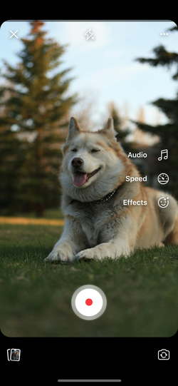 Group Reels creation using the core Reels composer.