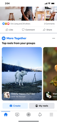 Meta – Group Reel Feed Screenshot