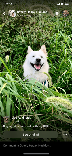 Reshared Reel maintaining original attribution.