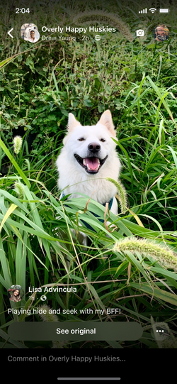 Reshared Reel maintaining original attribution.