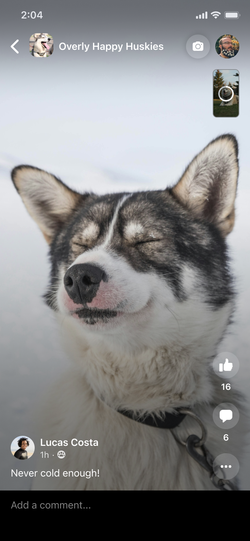 Reels viewer shown during asynchronous upload.