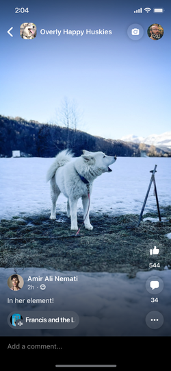 Group Reel with persistent group context in the header.