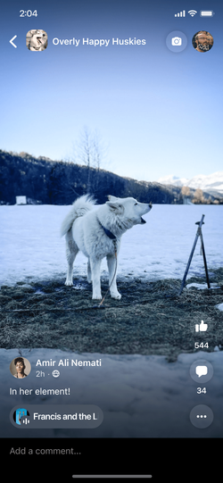 Group Reel with persistent group context in the header.