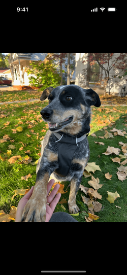 Proof initial view with photos in reverse chronological order.