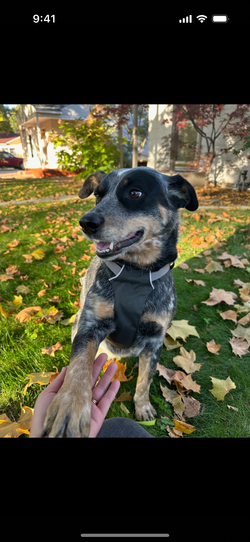 Proof initial view with photos in reverse chronological order.