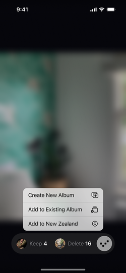 Proof menu for creating or adding to an album.