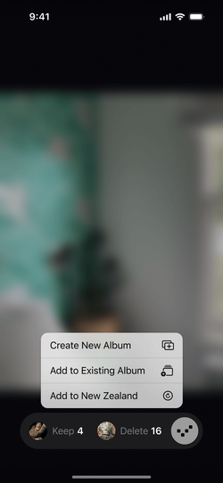 Proof menu for creating or adding to an album.