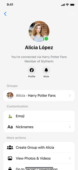 Messenger thread details showing group membership.