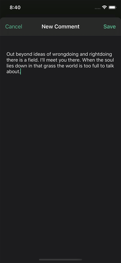 Onehub iOS new comment screen.