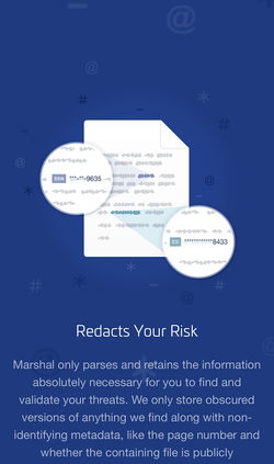 Marshal website ensuring that Marshal redacts everything it finds on mobile.
