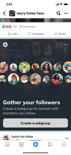 Subgroup creation surfaced to members who follow others.