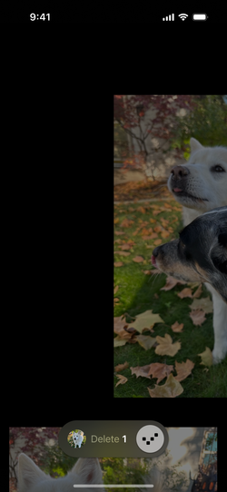 Proof photo being swiped into a keep or delete pile.