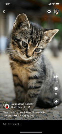 Photo gallery within the immersive viewer.