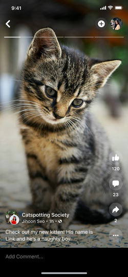 Photo gallery within the immersive viewer.