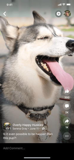 Reels viewer reimagined as an immersive viewer.