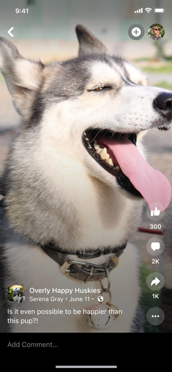 Reels viewer reimagined as an immersive viewer.